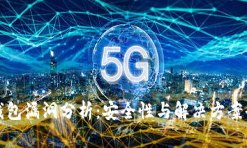 以太坊钱包漏洞分析：安全性与解决方案全面探讨