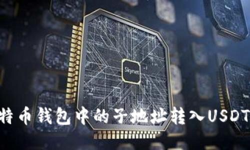 如何将比特币钱包中的子地址转入USDT:详细指南
