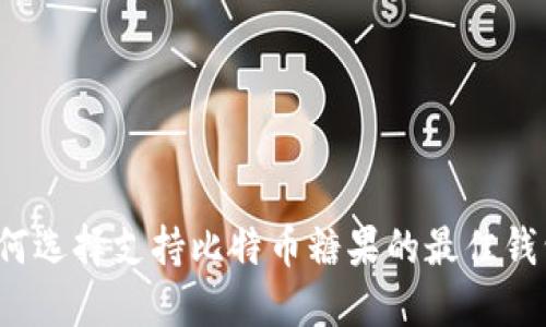 如何选择支持比特币糖果的最佳钱包?