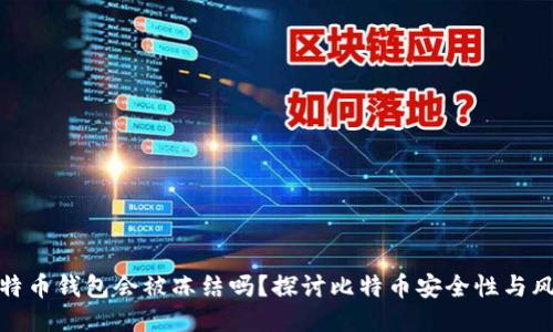 比特币钱包会被冻结吗？探讨比特币安全性与风险