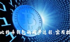 如何加速比特币钱包的同