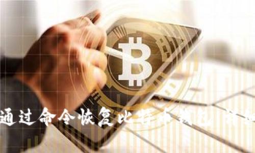 如何通过命令恢复比特币钱包：详细指南