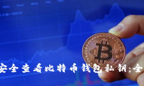 如何安全查看比特币钱包私钥:全面指南