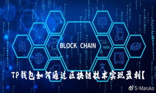 TP钱包如何通过区块链技术实现盈利?