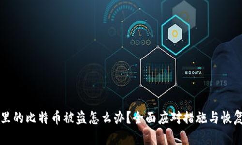 钱包里的比特币被盗怎么办?全面应对措施与恢复指南