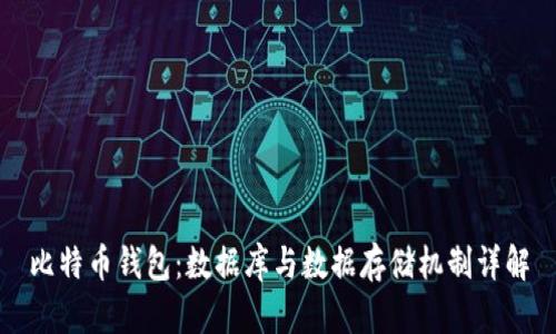 比特币钱包:数据库与数据存储机制详解
