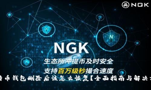 比特币钱包删除后该怎么恢复?全面指南与解决方案