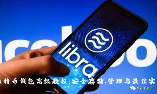 比特币钱包高级教程:安全存储、管理与最佳实践