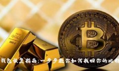 比特币核心钱包恢复指南