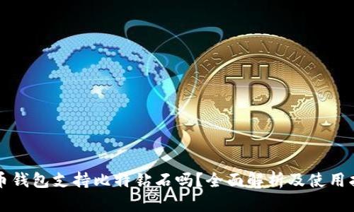 火币钱包支持比特钻石吗?全面解析及使用指南