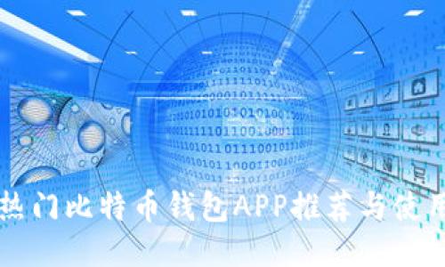 国内热门比特币钱包APP推荐与使用指南