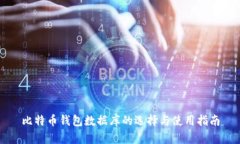比特币钱包数据库的选择