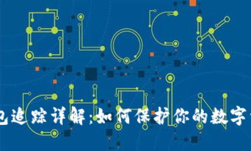 USDT钱包追踪详解:如何保护你的数字资产安全