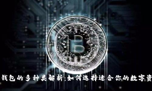 区块链数字钱包的多种类解析:如何选择适合你的数字资产存储方案