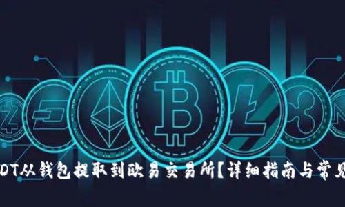 如何将USDT从钱包提取到欧易交易所?详细指南与常见问题解答