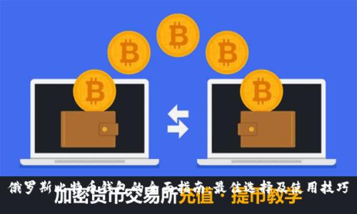 俄罗斯比特币钱包的全面指南:最佳选择及使用技巧