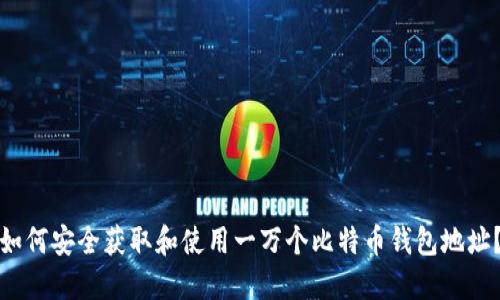 如何安全获取和使用一万个比特币钱包地址?