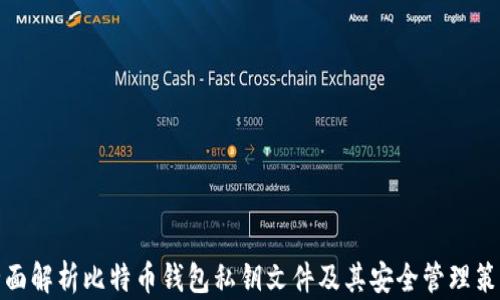 全面解析比特币钱包私钥文件及其安全管理策略