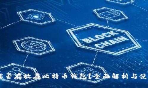 USDT能否存放在比特币钱包?全面解析与使用指南