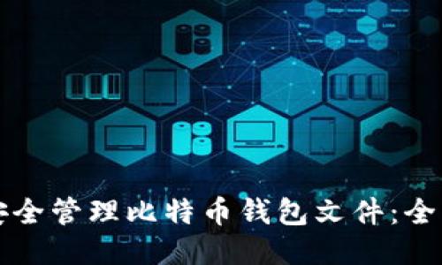 如何安全管理比特币钱包文件:全面指南