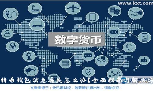 比特币钱包信息丢失怎么办?全面指南与解决方案