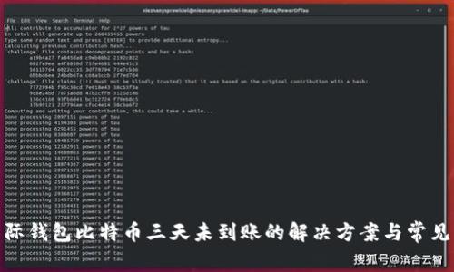 : 国际钱包比特币三天未到账的解决方案与常见问题