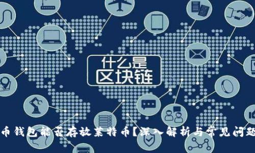比特币钱包能否存放莱特币?深入解析与常见问题解答