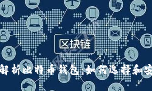: 全面解析比特币钱包:如何选择和安全使用