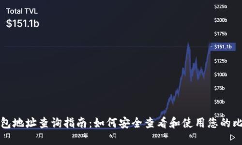 比特币钱包地址查询指南:如何安全查看和使用您的比特币地址
