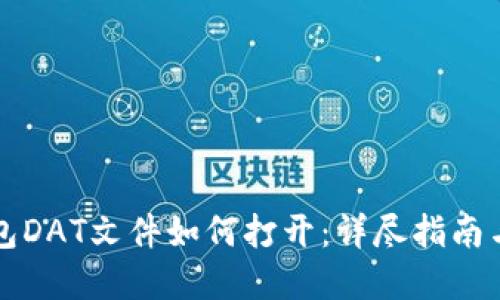 比特币钱包DAT文件如何打开:详尽指南与解决方案