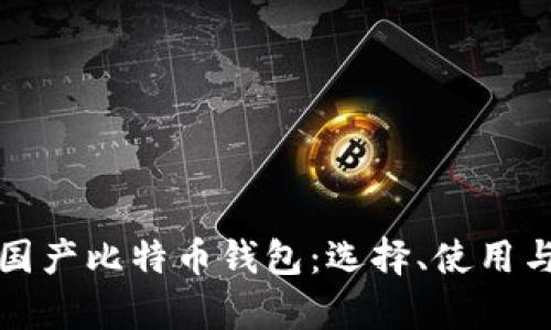 全面解析国产比特币钱包:选择、使用与安全指南