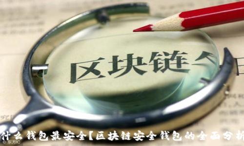 什么钱包最安全?区块链安全钱包的全面分析