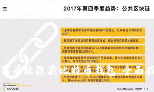 如何有效隐藏比特币钱包:全面指南
