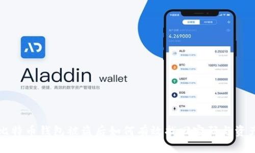 比特币钱包被盗后如何有效找回密码与资产