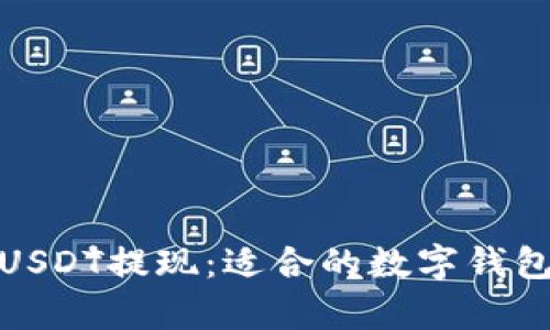 : 火币网USDT提现:适合的数字钱包全面解析