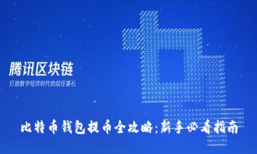 比特币钱包提币全攻略:新手必看指南