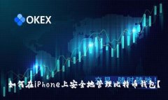 如何在iPhone上安全地管理