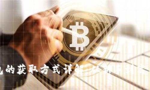 比特币钱包的获取方式详解:从新手到高手的全攻略