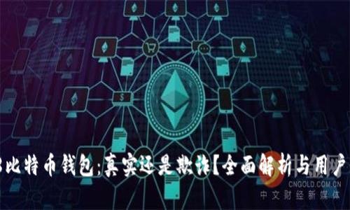 198比特币钱包:真实还是欺诈?全面解析与用户指南