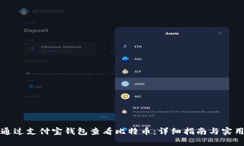如何通过支付宝钱包查看比特币：详细指南与实用技巧