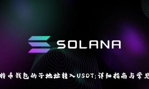 如何将比特币钱包的子地址转入USDT:详细指南与常见问题解答