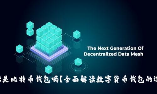 BTR是比特币钱包吗？全面解读数字货币钱包的选择