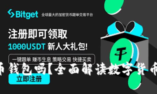 BTR是比特币钱包吗？全面解读数字货币钱包的选择