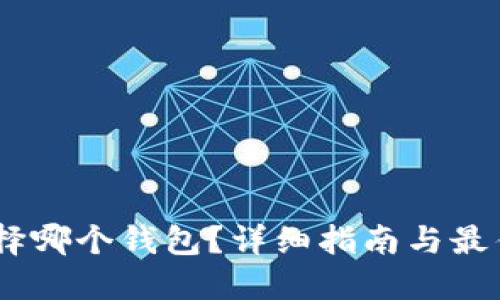 USDT该选择哪个钱包?详细指南与最佳选择推荐