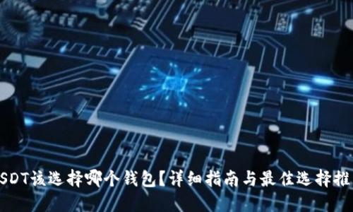 USDT该选择哪个钱包?详细指南与最佳选择推荐