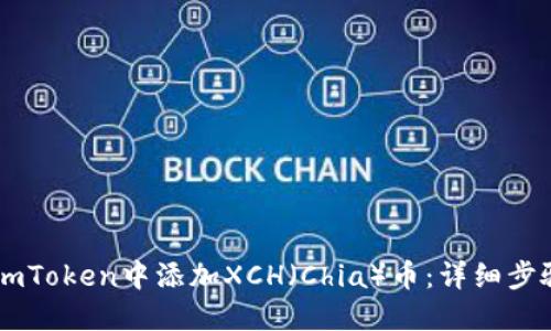 如何在ImToken中添加XCH(Chia)币:详细步骤与指南