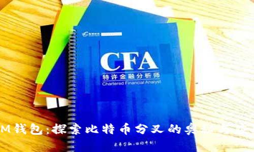IM钱包:探索比特币分叉的奥秘与应用