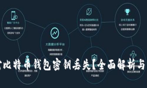 如何应对比特币钱包密钥丢失?全面解析与解决方案