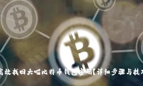 如何高效找回大喵比特币钱包密码?详细步骤与技巧解析