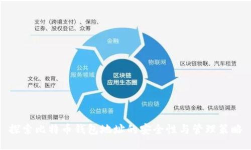 探索比特币钱包地址的安全性与管理策略